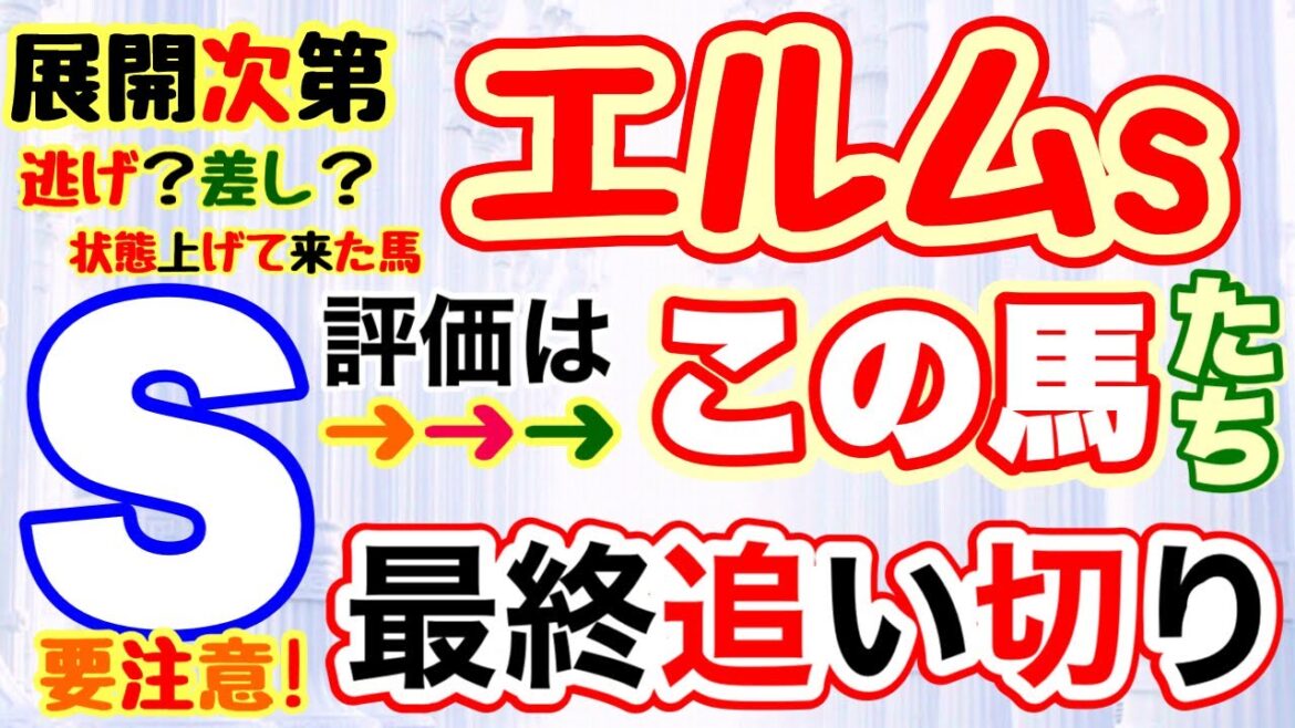【エルスステークス2022】しーいちの最終追い切り評価