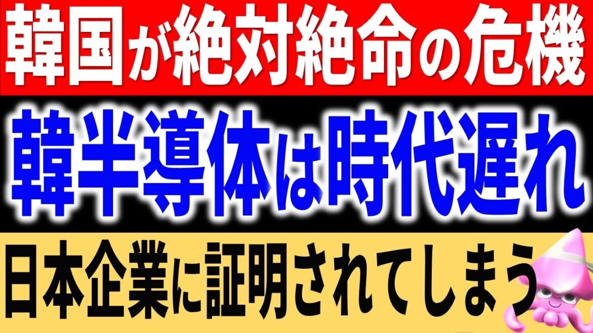 実は時代遅れの半導体だった！？韓国半導体が最新モデルを作れない理由。日本のあの大企業の戦略から全てがバレてしまった。そして、中国ではＳＫハイニックスが絶体絶命の存続危機へ【令和のスルメ】