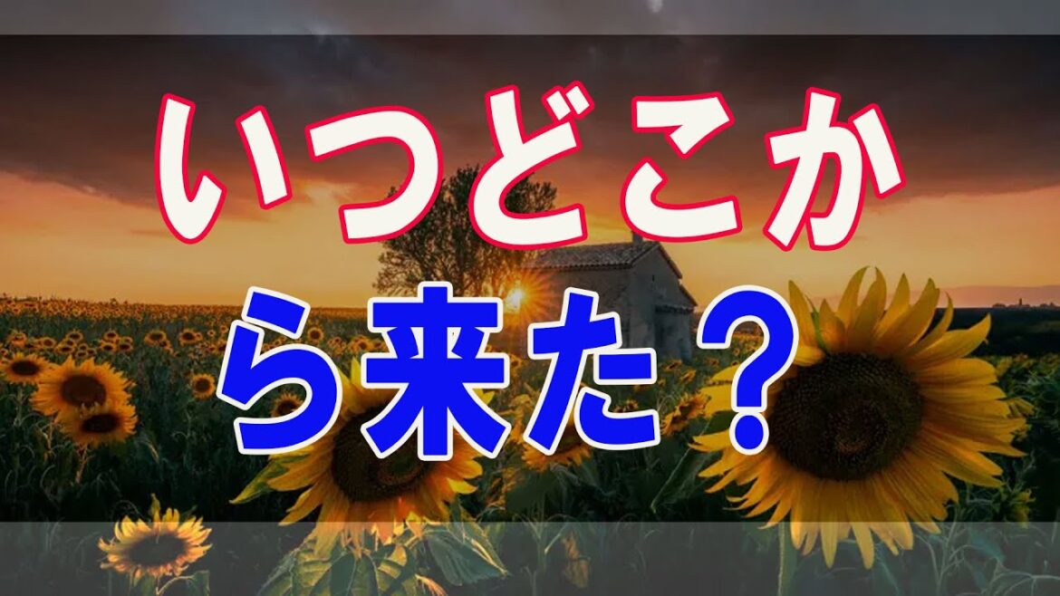 武田鉄矢今朝の三枚おろし  日本人の祖先、いつどこから来た？世界がうらやむ日本文化・文明の源流を 35