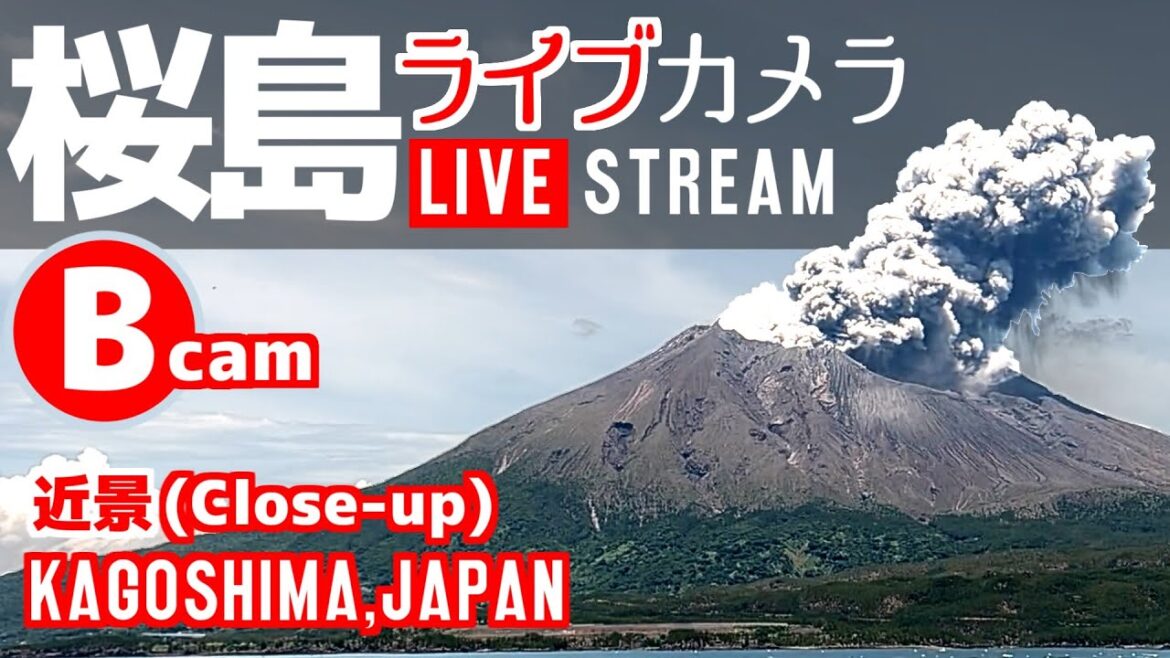 【LIVE】 桜島 ライブカメラ B 【近景】 鹿児島県 垂水市 / Sakurajima, an active volcano live cam (Close-up view) JAPAN
