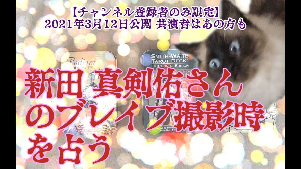 【タロットで仲良く】新田 真剣佑さんのブレイブ撮影時を占う【手ごたえや共演者のついて】