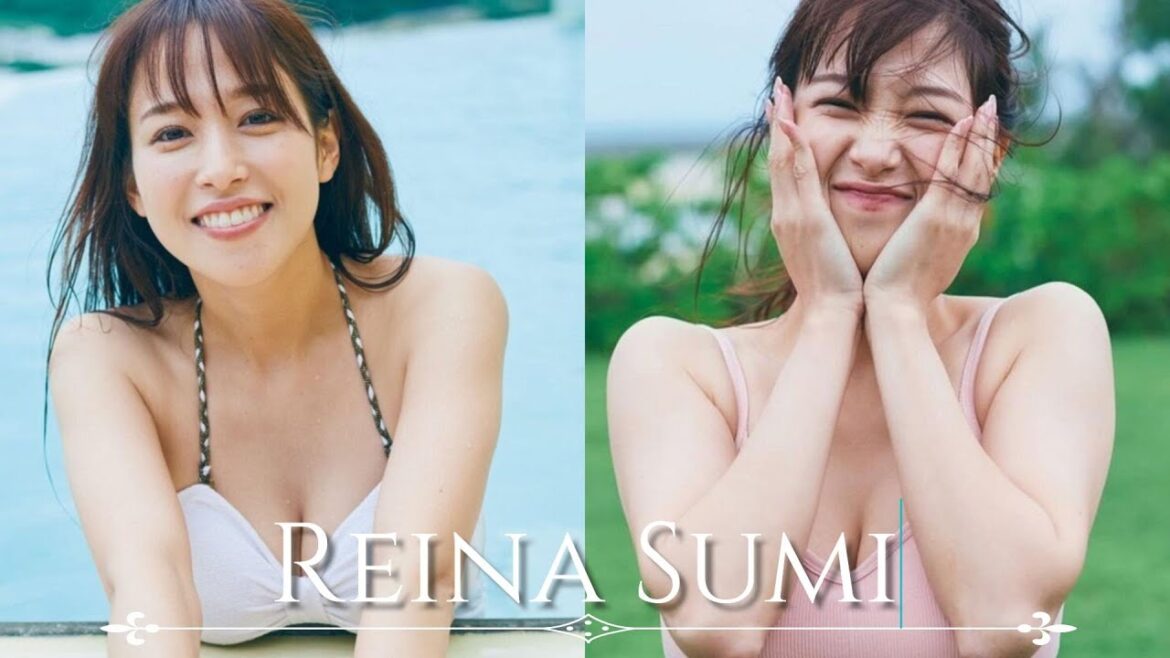 【人物が分かるプロフ付】鷲見玲奈 グラビア写真集 Reina Sumi Photo album