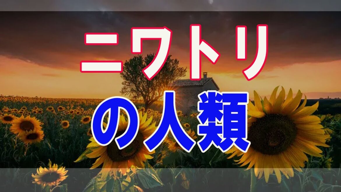 武田鉄矢今朝の三枚おろし   ニワトリの人類、歴史の誕生への大いなる貢献とは？ 27