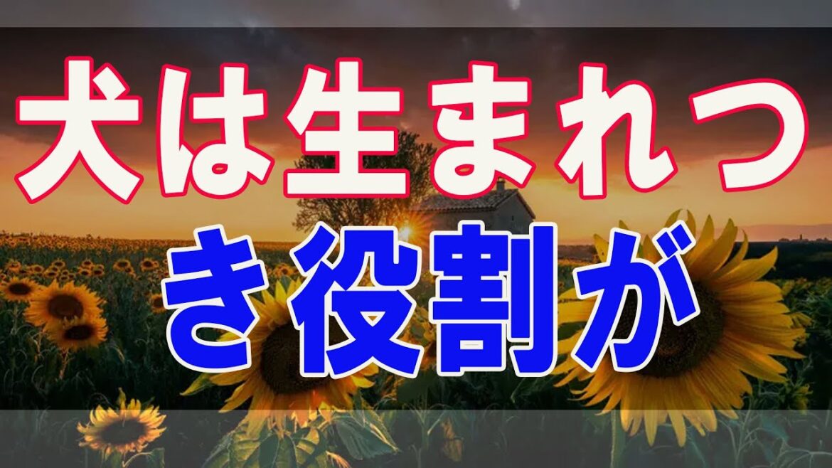 武田鉄矢今朝の三枚おろし  犬は生まれつき役割が決まっている？ 1
