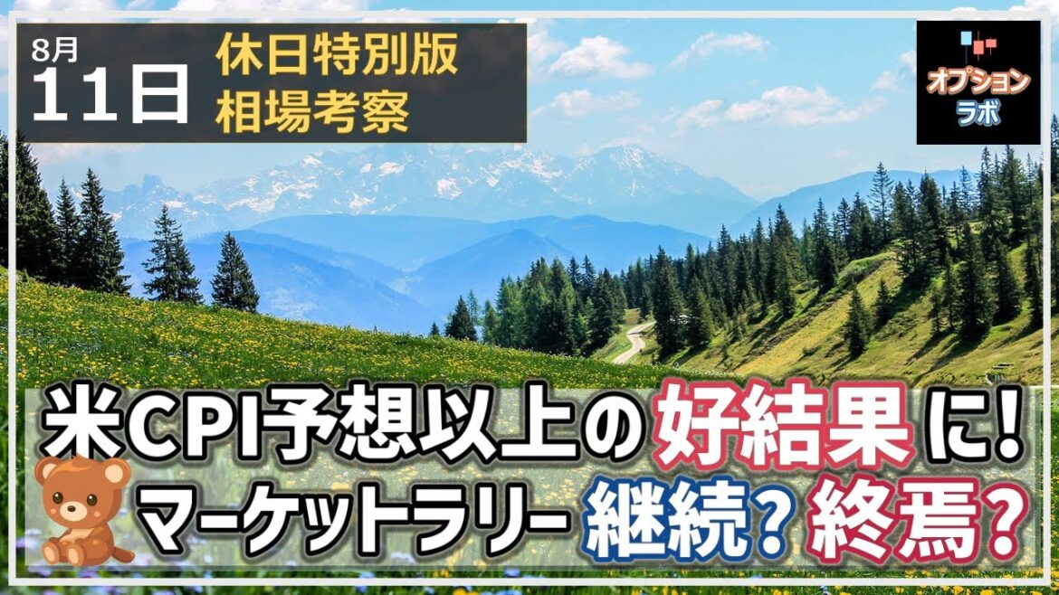 【日経225オプション考察】8/11 米CPI 予想以上の好結果に！ ベアマーケットラリーは継続なのか、それとも終焉？