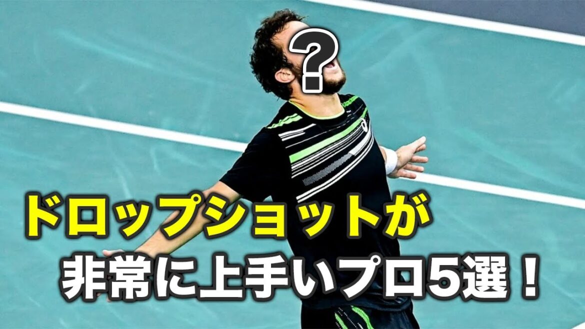 【テニス】ドロップショット好き必見！ドロップが非常に上手いトッププロ5名を厳選！【ドロップ集】