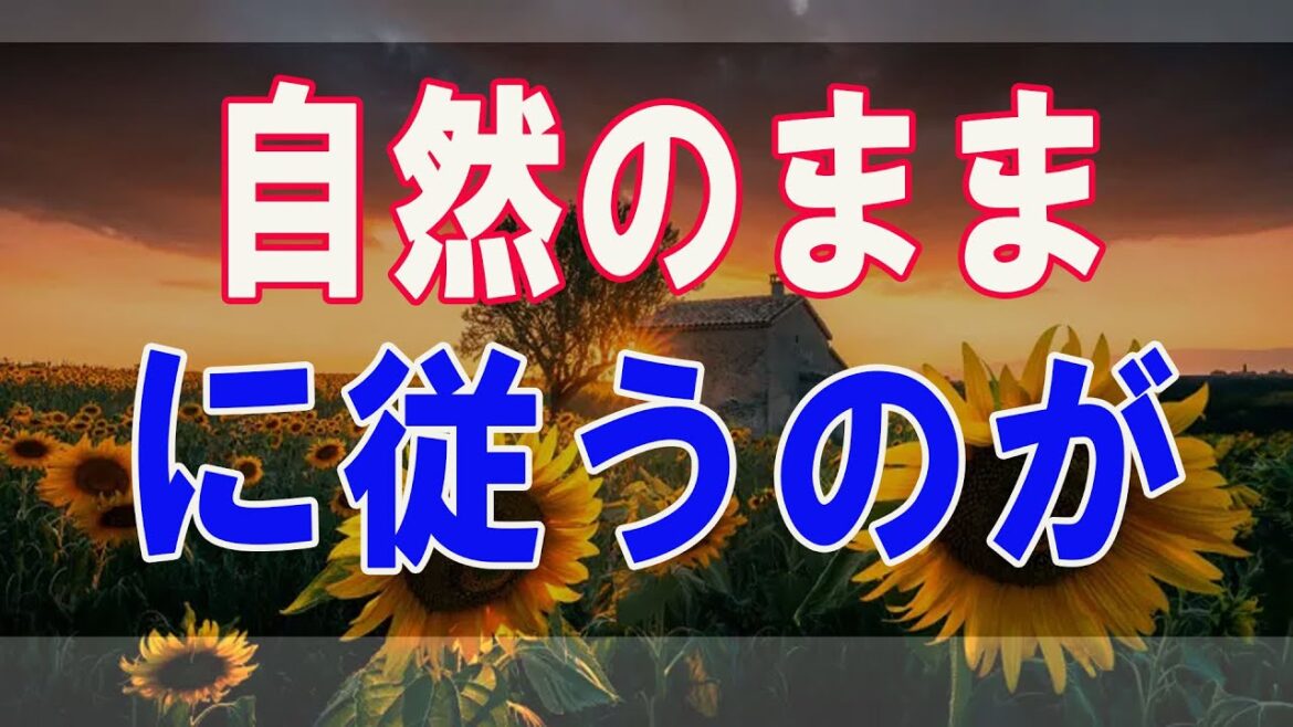 武田鉄矢今朝の三枚おろし  物事、自然のままに従うのが一番楽な方法で理にかなうのである。人間はそういうふうに出来ているのだから。 ～三砂ちづる著 エッセイ「タッチハンガー」～ 15