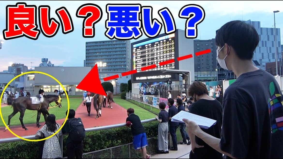 元馬乗りがパドック予想で本気を出してみた結果...