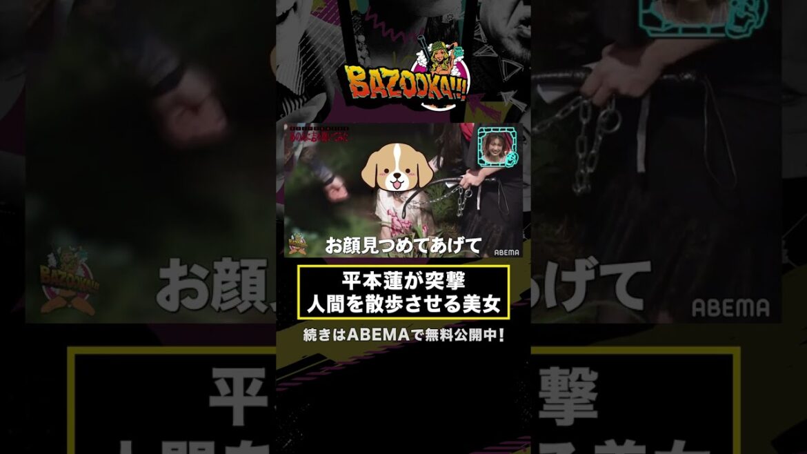 人間を散歩させる美女に平本蓮がアポ無しインタビュー #shorts