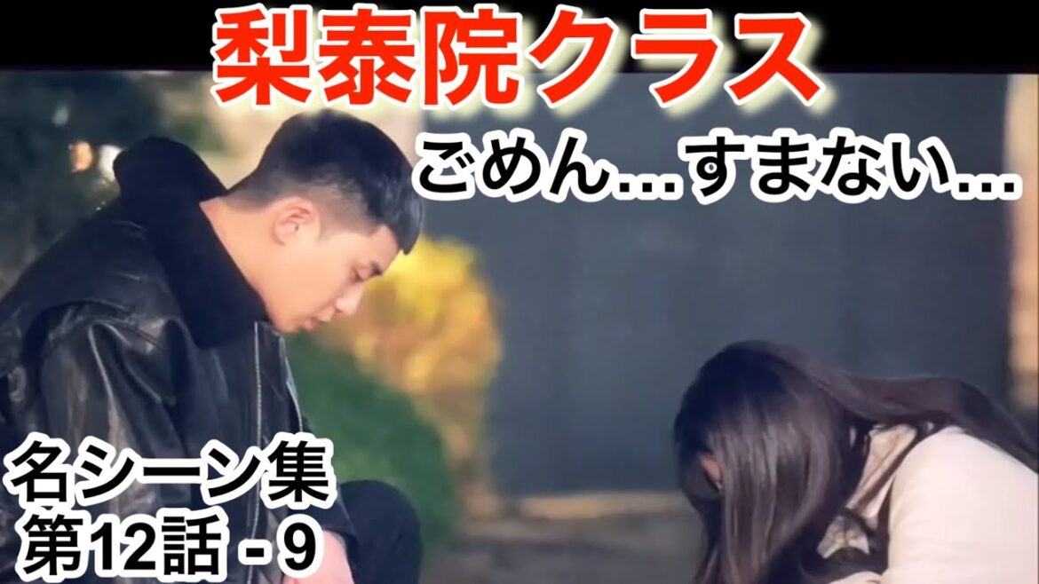 ダリルが選んだ 梨泰院クラス 名シーン 12話-9  全24本ある為、必ず再生リストから連続再生願います　(再生リストは概要欄及びコメント欄参照)  イテウォンクラス　日本語吹替