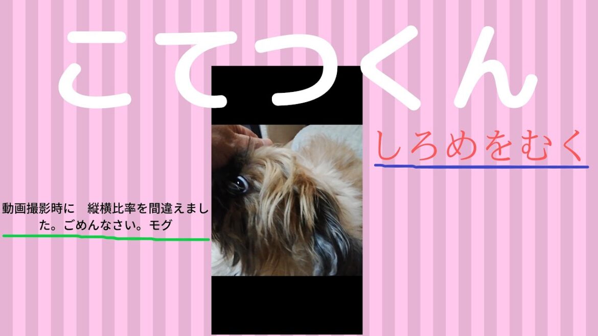 こてつくん　白目をむく