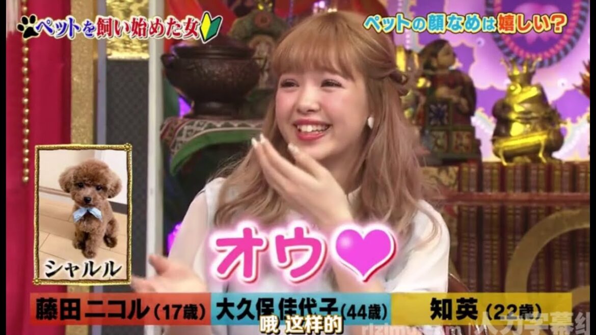 《今夜くらべてみました》「藤田ニコル、大久保佳代子（オアシズ）、知英」ペットを飼い始めた女たち