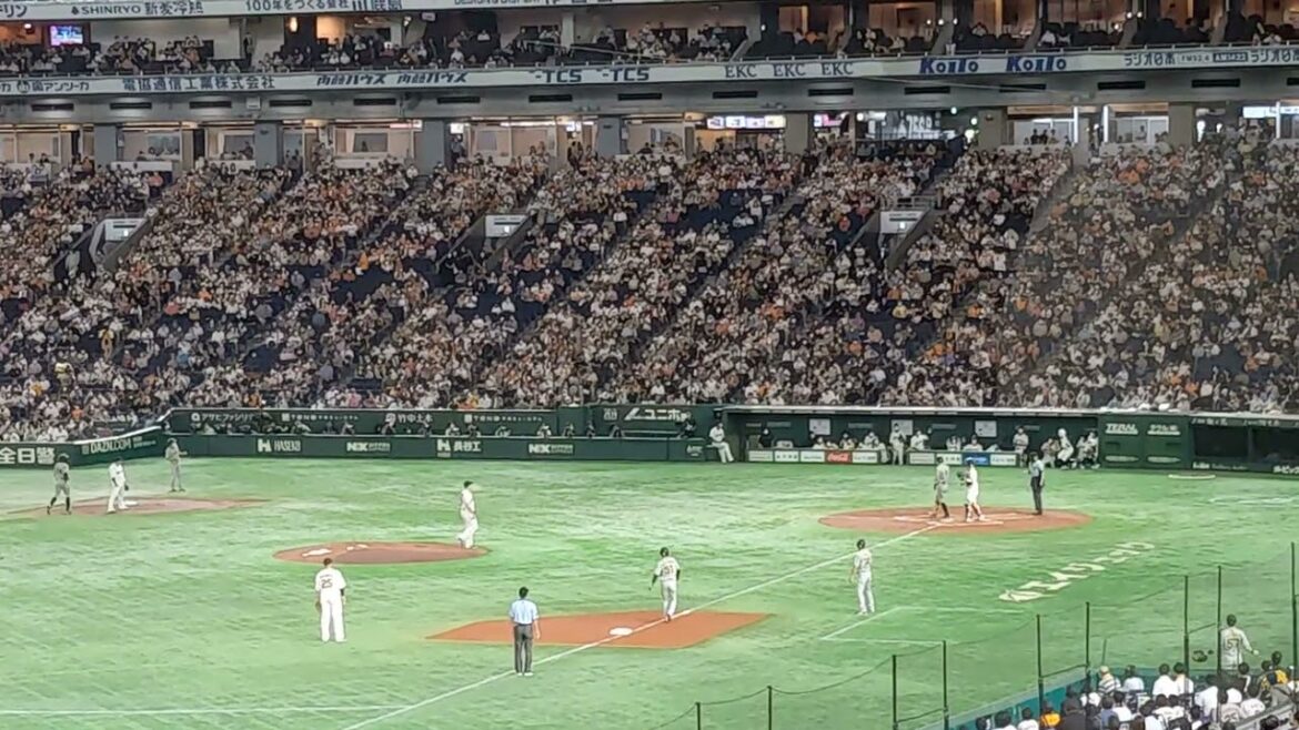 【佐藤輝明/観客バット直撃】試合中バットが飛んでくることがございます【阪神vs巨人】