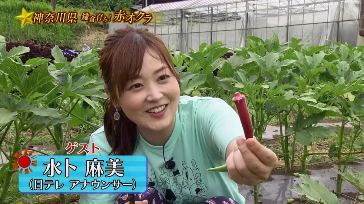 満天☆青空レストラン 8/27放送 「神奈川県　鎌倉育ち！赤オクラ」
