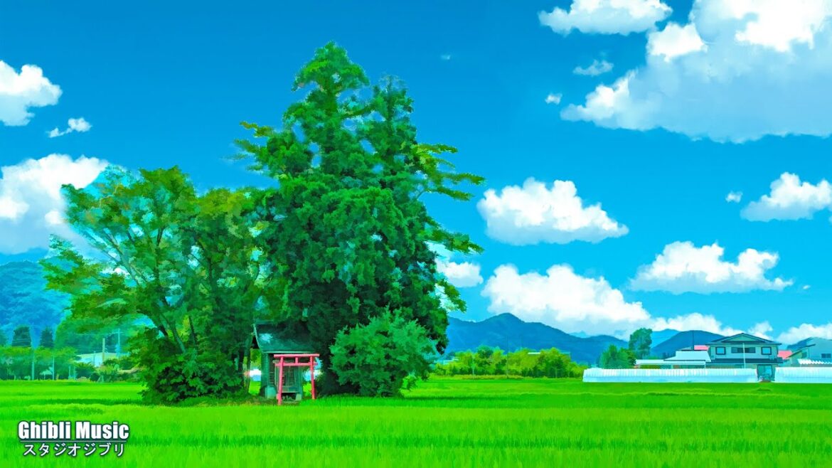 Ghibli Relaxing 🌼   ジブリスタジオからの4時間のリラックス音楽 【作業用、勉強、睡眠用BGM】ジブリは魔法の世界に浸っています🌼  千と千尋の神隠し, ゲド戦記, もののけ姫