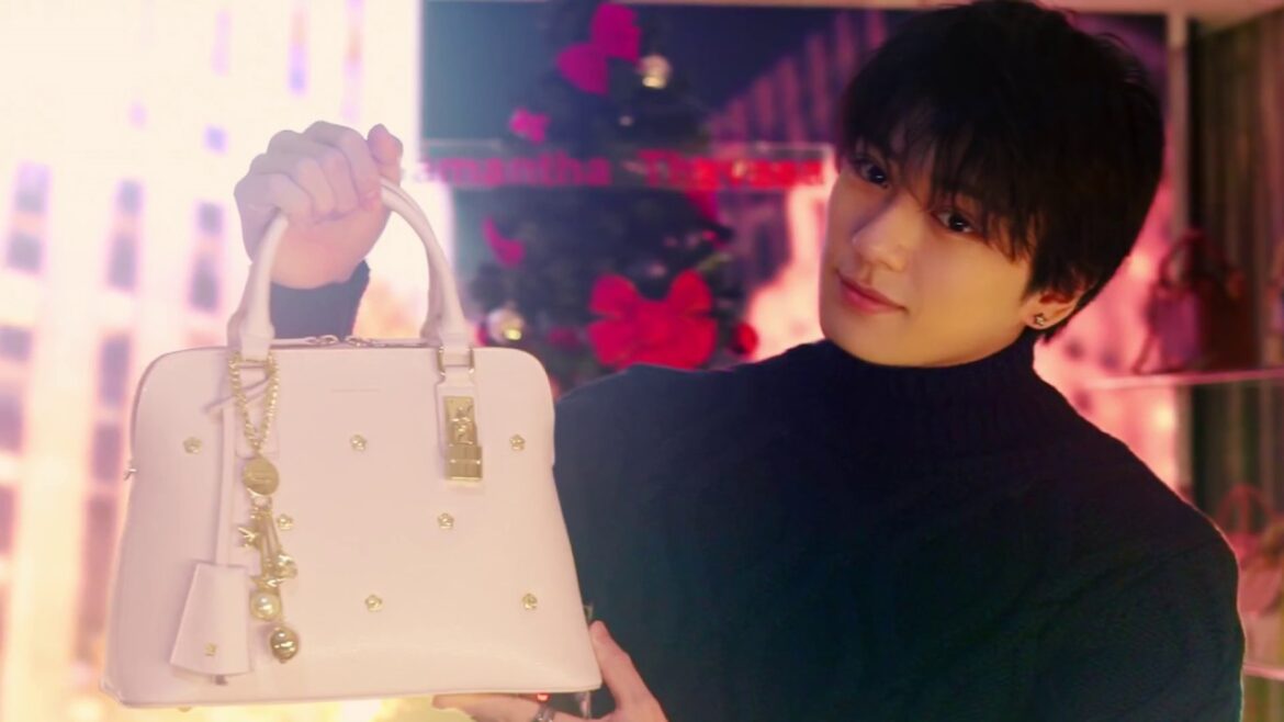 新田真剣佑出演  Samantha Thavasa2018クリスマス-「愛してる。」を伝えに行こう。- スペシャルムービー