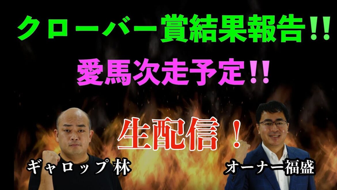 【競馬・馬主】クローバー賞結果報告❗️愛馬次走予定❗️
