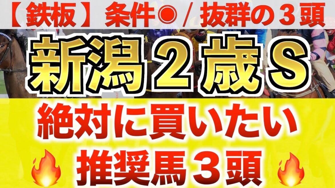 【新潟2歳ステークス2022 競馬予想】アイスグリーン過去最高のデキ？プロが全頭診断から導く買いの3頭◉