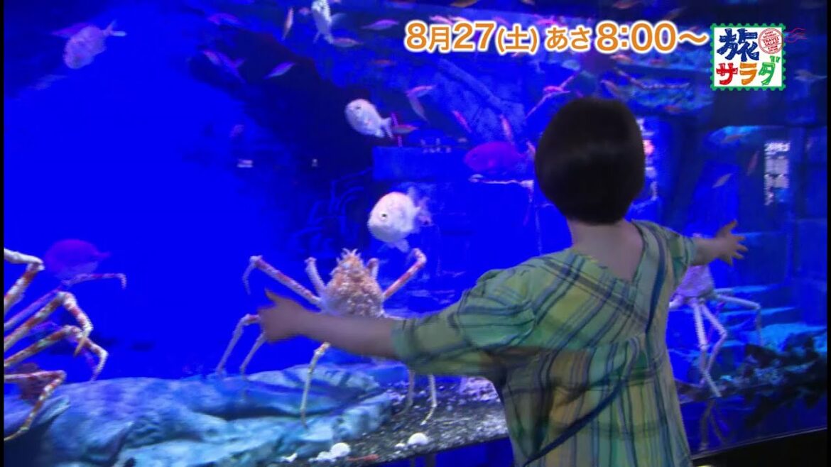 海外の旅はシンガポールへ！ゲストの旅は北乃きい！「旅サラダ」8月27日（土）放送