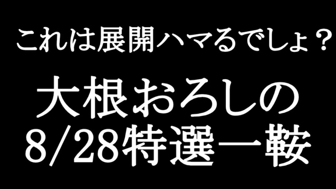 【競馬予想】8月28日の特選一鞍【大根おろし】