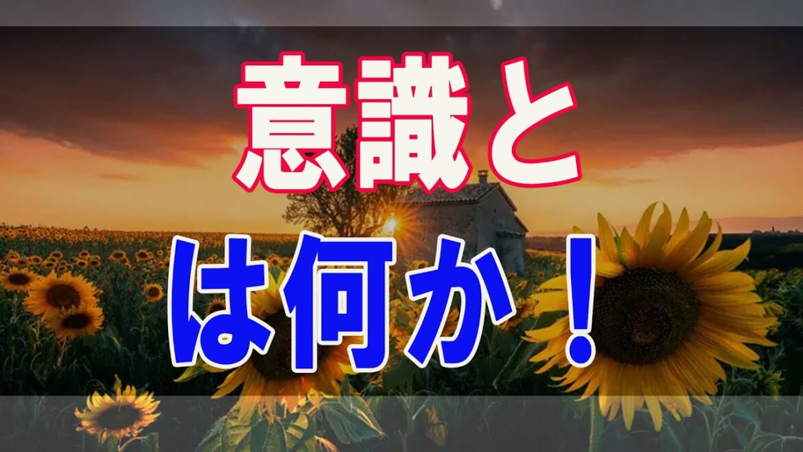 武田鉄矢今朝の三枚おろし   意識とは何か！意識はなぜあるのか！ロボットに心を作ることはできるのか？ 20