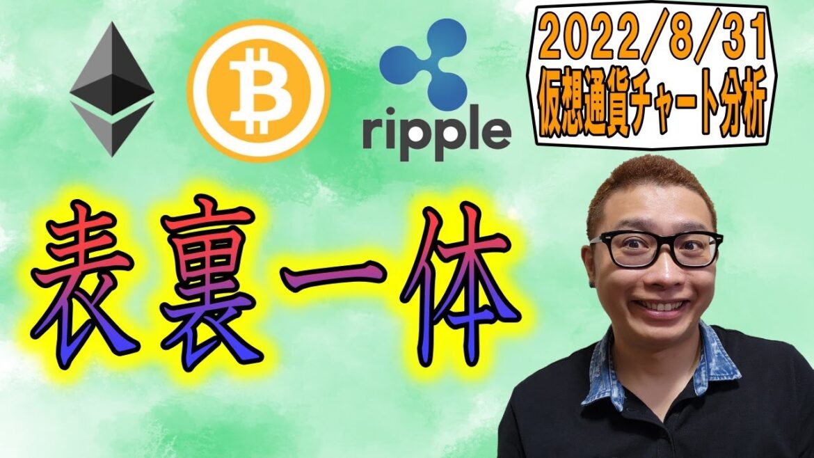 【仮想通貨 ビットコインBTC & アルトコイン 分析】表裏一体!!上 or 横 or 下のシナリオを使い分けろ!! 【仮想通貨 ビットコインBTC & アルトコイン 分析】表裏一体!!上 or 横 or 下のシナリオを使い分けろ!!