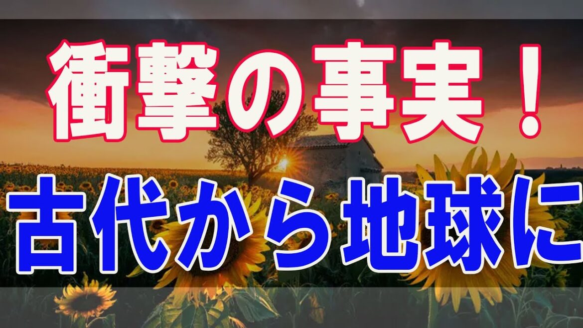 武田鉄矢今朝の三枚おろし  衝撃の事実！古代から地球にはアレが存在していた！？ 12