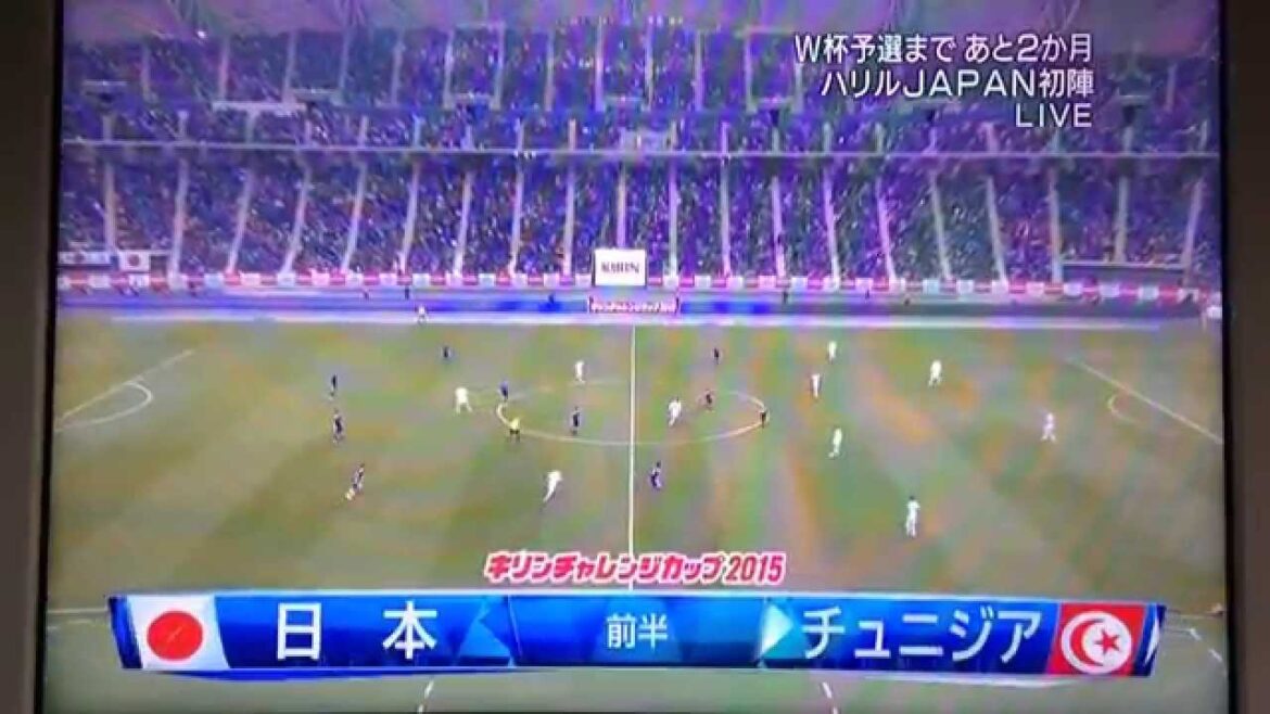 2ゴール!岡崎、本田!宇佐美 ゴールハイライト サッカー日本代表VSチュニジア代表 2-0 2ゴール!岡崎、本田!宇佐美 ゴールハイライト サッカー日本代表VSチュニジア代表 2-0