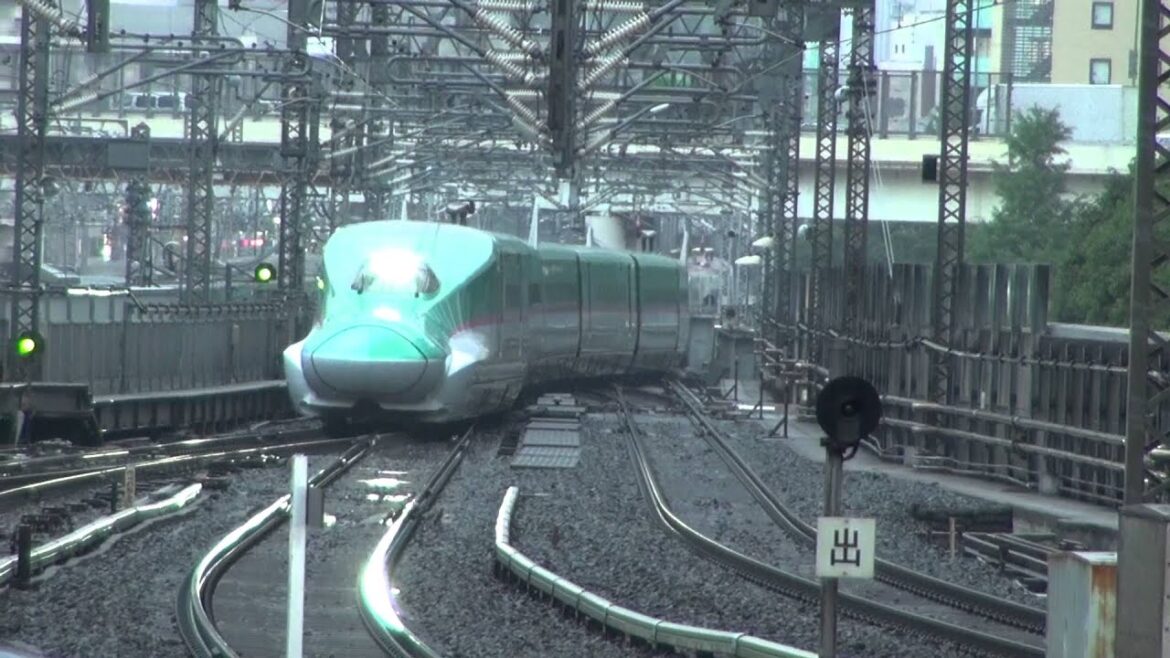 JR東日本 新幹線　はやぶさ スーパーこまち ( E5 + E6 ) 東京駅 到着 2013.7