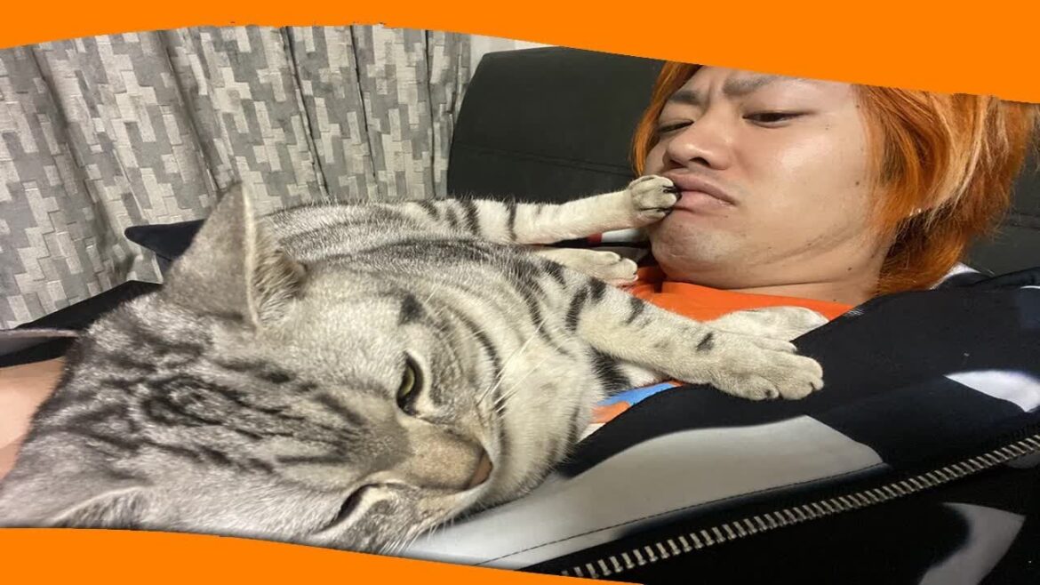 ✅  YouTuberワタナベマホトがファンの15歳少女にわいせつ写真を送るよう要求していた児童ポルノ疑惑問題で所属していた…