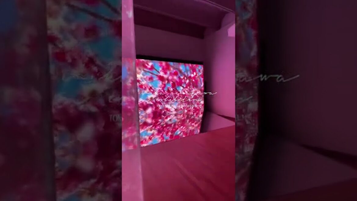 "Mika Ninagawa" photo exhibition in Tokyo/蜷川実花さんの展覧会が最高だった件 【vlog】