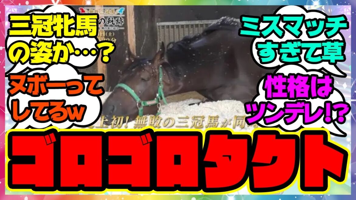 『可愛すぎるゴロゴロデアリングタクト』に対するみんなの反応 ぱかライブ まとめ ウマ娘プリティーダービー 最新情報 ワンダーアキュート ホッコータルマエ コパノリッキー 『可愛すぎるゴロゴロデアリングタクト』に対するみんなの反応 ぱかライブ まとめ ウマ娘プリティーダービー 最新情報 ワンダーアキュート ホッコータルマエ コパノリッキー