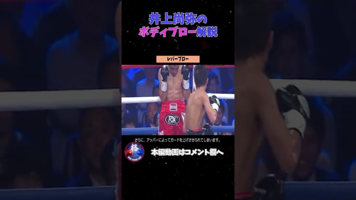 井上尚弥必殺レバーブローを解説! 井上尚弥必殺レバーブローを解説!