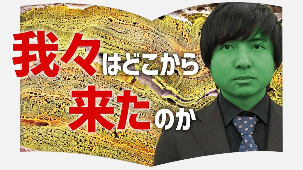 人類みな兄弟。「イヴ仮説」を科学的に解説した人類のルーツを辿る一冊【3分書評授業】【イヴの七人の娘たち】 人類みな兄弟。「イヴ仮説」を科学的に解説した人類のルーツを辿る一冊【3分書評授業】【イヴの七人の娘たち】