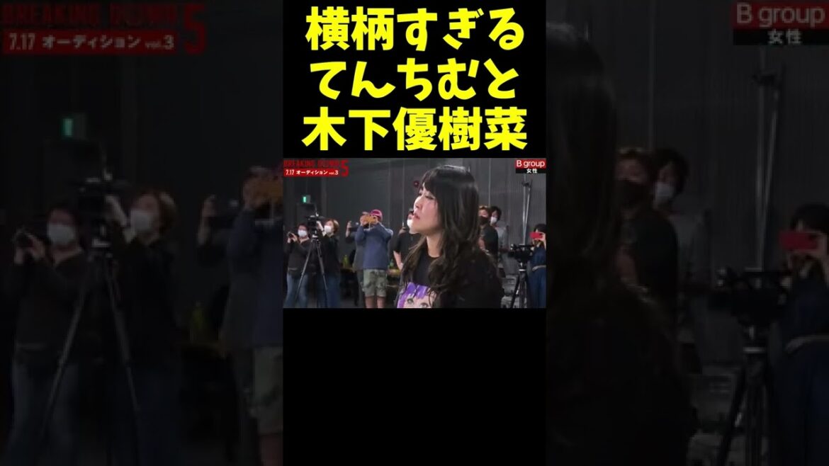 自分らは戦う気無いけど態度だけクソでかいてんちむと木下優樹菜 自分らは戦う気無いけど態度だけクソでかいてんちむと木下優樹菜