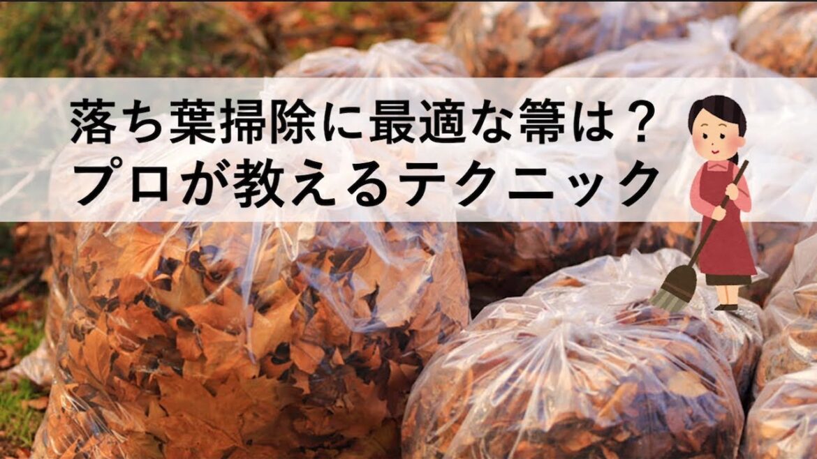 落ち葉掃除に最適な箒(ほうき)は? プロが教えるテクニック 落ち葉掃除に最適な箒(ほうき)は? プロが教えるテクニック
