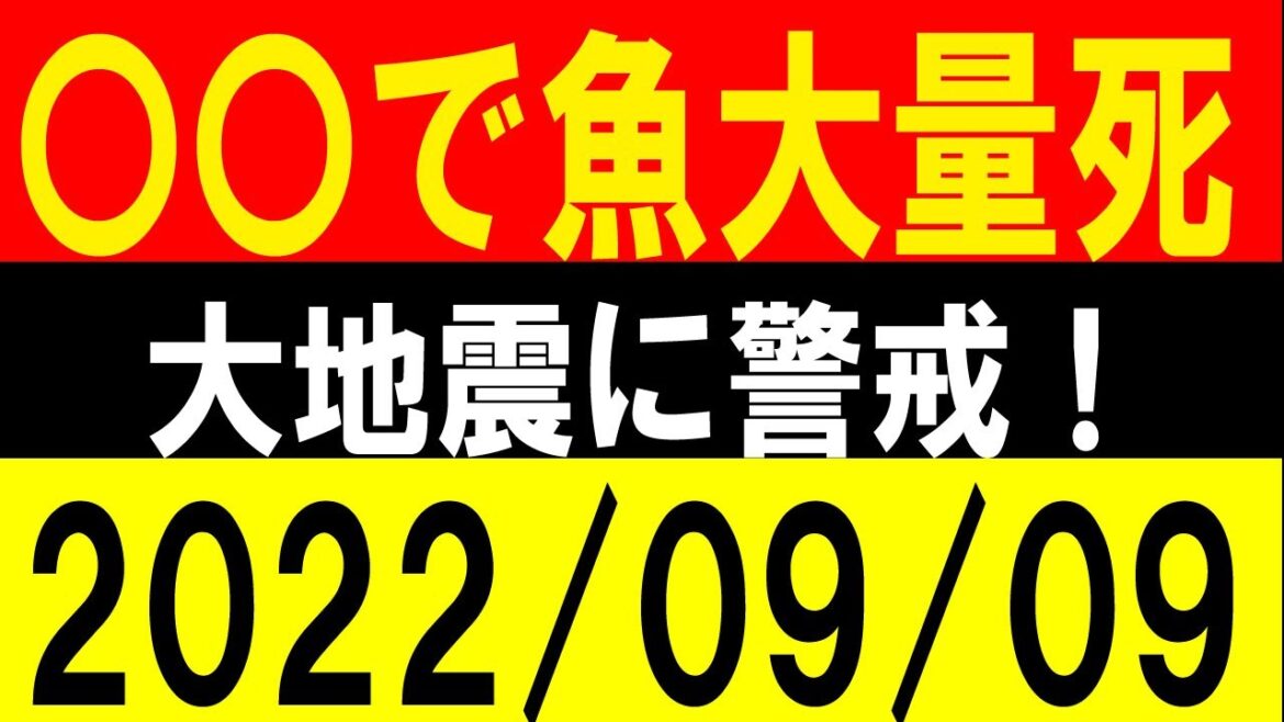 〇〇で魚の大量死発生！大地震に警戒！地震研究家 レッサー