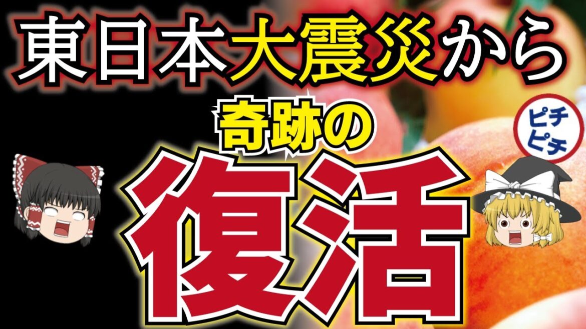 【ゆっくり解説】衝撃！実はとんでもない農業レベル！東日本大震災後の福島県の農作物について