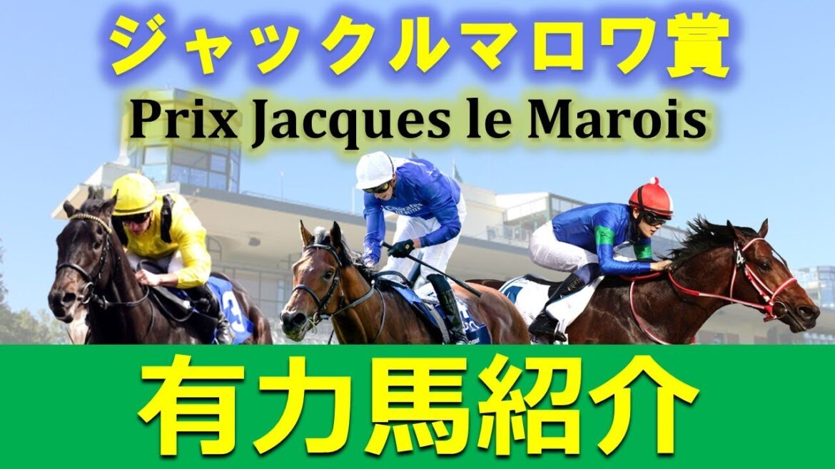 【ジャックルマロワ賞2022】有力馬紹介　フランス競馬マイル路線の最高峰レース‼︎欧州のトップホースが集結する伝統の一戦‼︎夏のマイル決戦に向かう有力馬をチェック‼︎