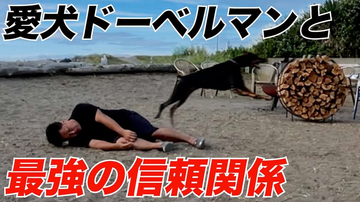 【ドッキリ】飼い主が突然倒れた後に取ったドーベルマンの行動に驚愕