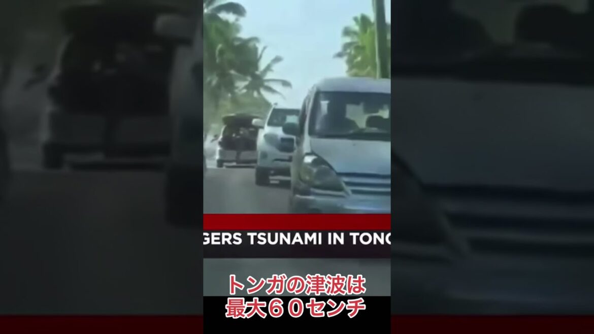 【ハワイで津波！？】トンガで海底火山！津波警報発令！ #shorts #HAWAII #ハワイ #津波 #2022 #ハワイ生活 #海外移住