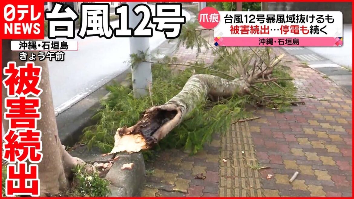 【台風12号】石垣島では停電も…長引く生活への影響  シルバーウイークも注意