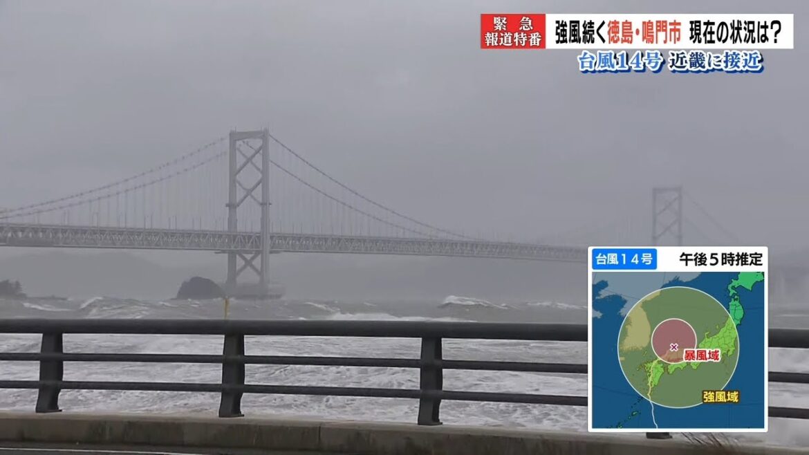 【台風14号】徳島県の最新状況 20代~80代の7人がケガ 3600戸が停電 414人が避難中(2022年9月19日) 【台風14号】徳島県の最新状況 20代~80代の7人がケガ 3600戸が停電 414人が避難中(2022年9月19日)