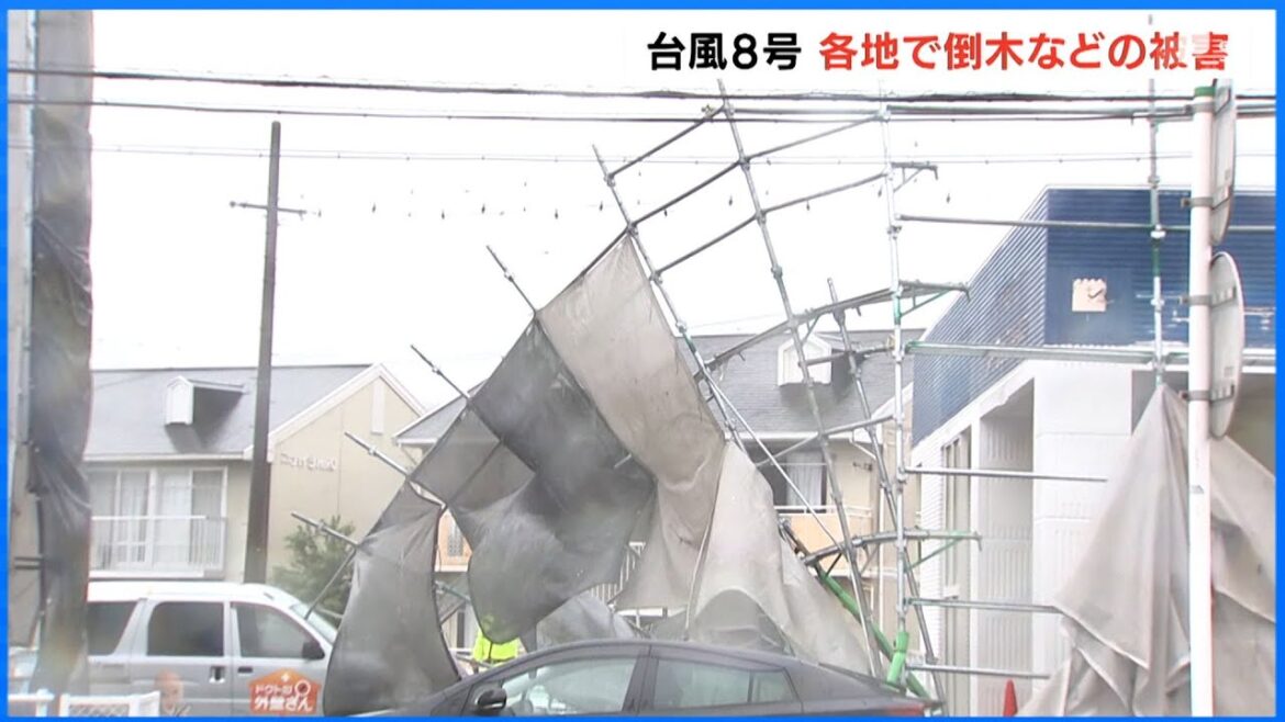 【台風8号】風の被害相次ぐ　ビニールハウス15棟が被害　倒木や土砂崩れも