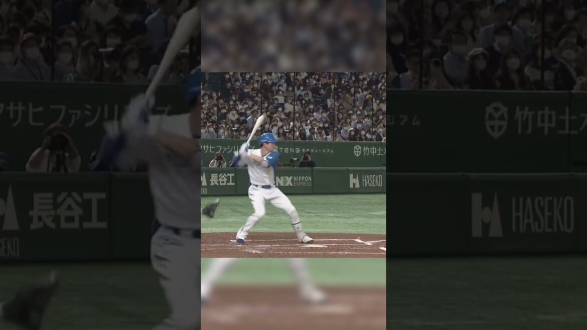 【日本ハム】松本剛選手のバッティングフォーム【ファイターズ】#バッティング　#バッティングフォーム　#ピッチング　#ピッチングフォーム　#球速アップ　#スイングスピード　#野球トレーニング #野球肘