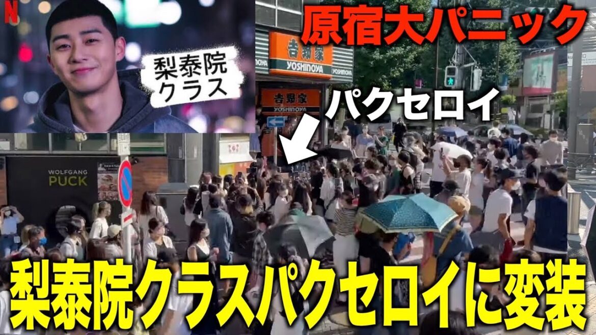 【梨泰院クラス】パクセロイに変装して原宿を大パニックにしてみたら大変なことに……