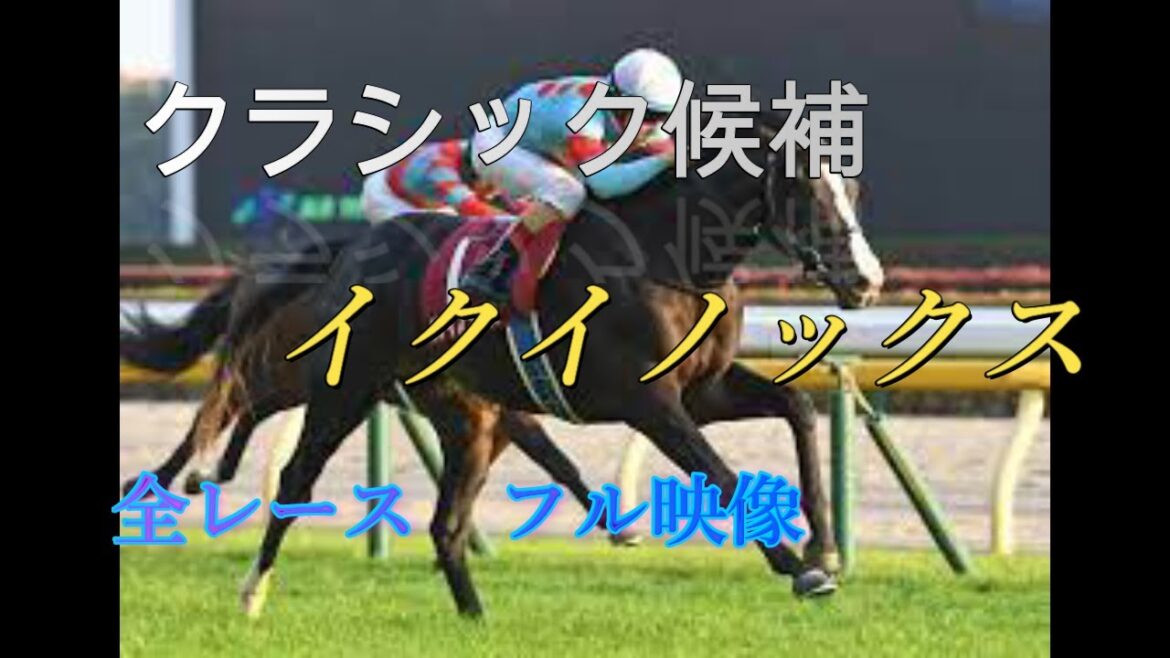 【現役競走馬】【イクイノックス】全レースフル映像　新馬戦から東京スポーツ杯2歳Sまで