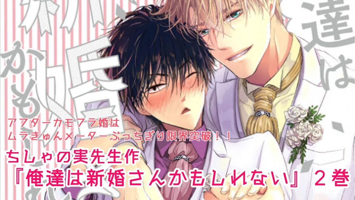 【腐向け】ちしゃの実先生『俺達は新婚さんかもしれない②』/BL漫画紹介【藤芳薫/Vtuber】