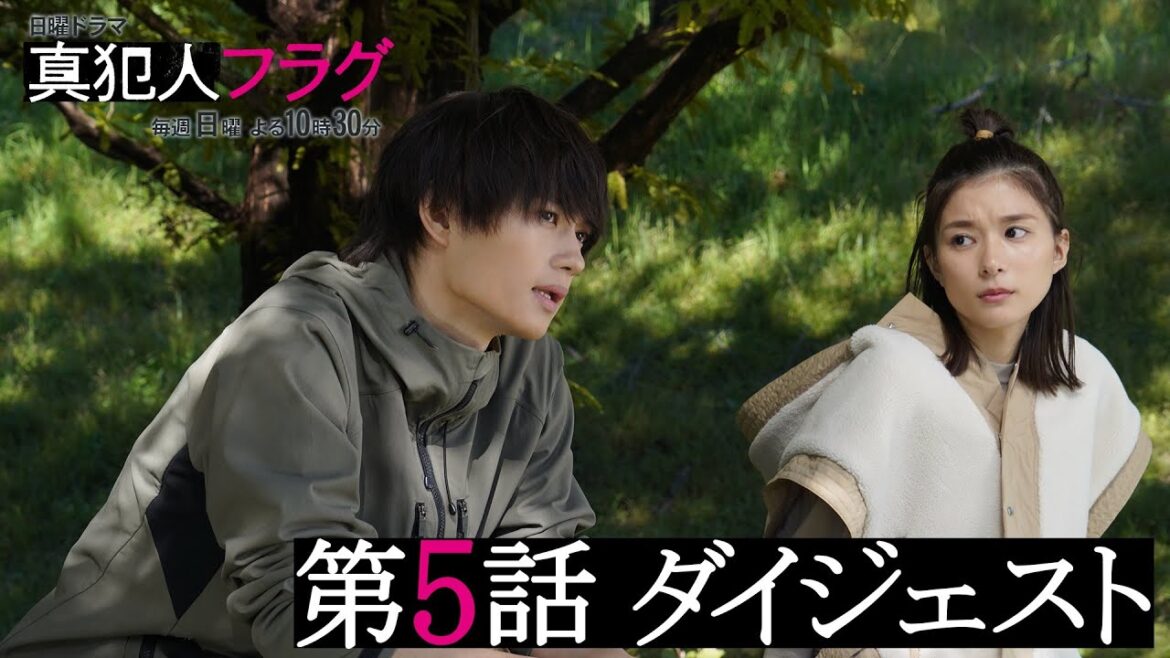 【西島秀俊 芳根京子 宮沢りえ】日曜ドラマ「真犯人フラグ」第５話がわかるダイジェスト！【第６話は11/21(日)よる10:30】