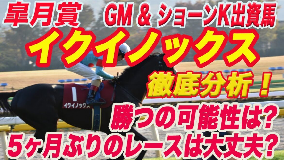 【 イクイノックス　特集！ 】皐月賞2022！GM、ショーンK出資馬イクイノックが出走！勝利の可能性は？異例のローテは大丈夫か？